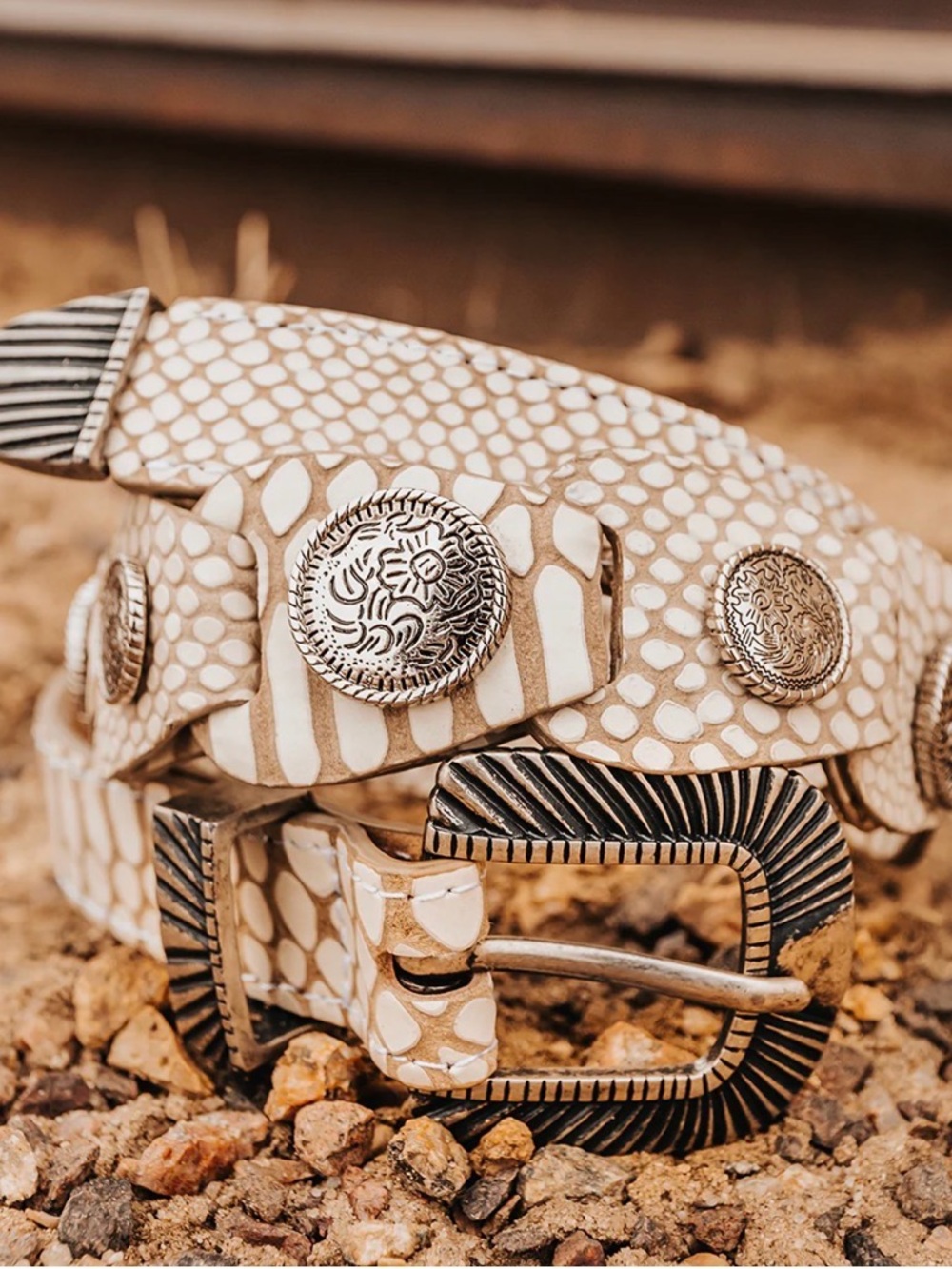 NWT Freebird Coin Belt White Snake XS – Sold Out Online – Retail $175